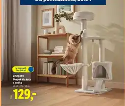 Lidl Drapak dla kota z budką oferta