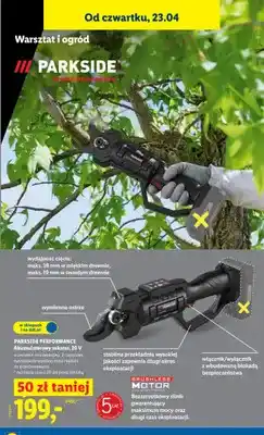 Lidl Akumulatorowy sekator 20 V oferta