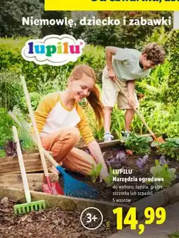 Lidl Narzędzia ogrodowe oferta