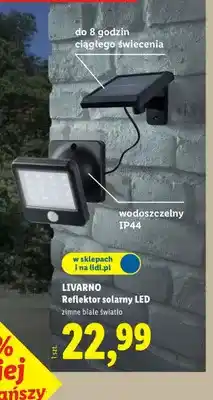 Lidl Reflektor solarny LED oferta