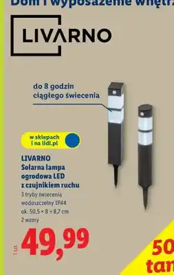Lidl Solarna lampa ogrodowa LED z czujnikiem ruchu oferta