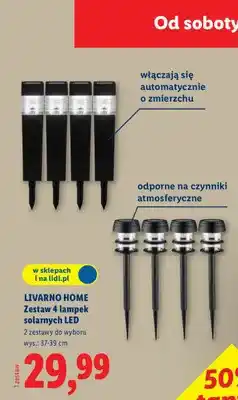Lidl Zestaw 4 lampek solarnych LED oferta