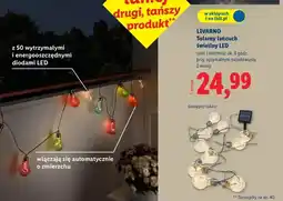 Lidl Solarny łańcuch świetlny LED oferta