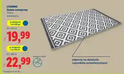 Lidl Dywan zewnętrzny oferta