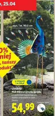Lidl Ptak dekoracyjny do ogrodu oferta