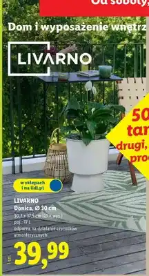Lidl Donica oferta