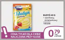Selgros Budyń oferta