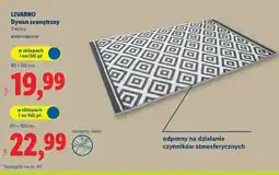 Lidl LIVARNO Dywan zewnętrzny oferta