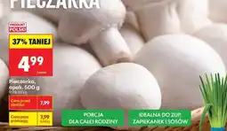 Biedronka Pieczarka opak 500 g oferta