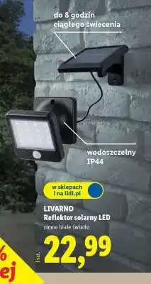 Lidl LIVARNO Reflektor solarny LED oferta