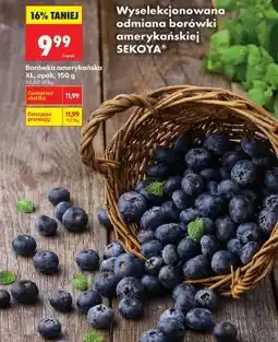 Biedronka Borówka amerykańska XL, opak. 150 g oferta