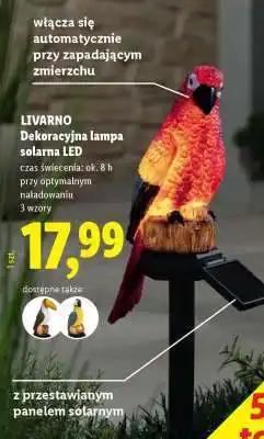 Lidl LIVARNO Dekoracyjna lampa solarna LED oferta