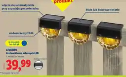 Lidl LIVARNO Zestaw 6 lamp solarnych LED oferta
