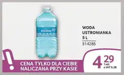 Selgros Woda ustronianka oferta