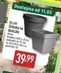 ALDI Osłonka na doniczkę BELAVI oferta