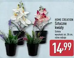 ALDI HOME CREATION Sztuczne kwiaty oferta
