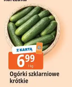 E.Leclerc Ogórki szklarniowe krótkie oferta