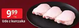 E.Leclerc Udo z kurczaka oferta