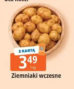 E.Leclerc Ziemniaki wczesne oferta