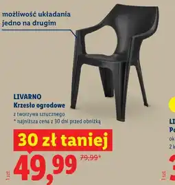 Lidl Krzesło ogrodowe oferta