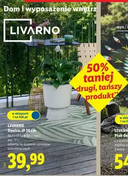 Lidl LIVARNO Donica oferta