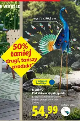 Lidl LIVARNO Ptak dekoracyjny oferta