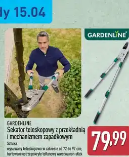 ALDI Sekator teleskopowy z przekładnią i mechanizmem zapadkowym GARDENLINE oferta
