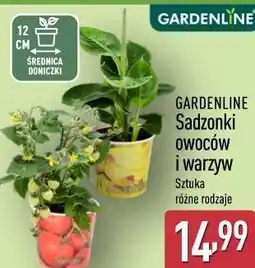 ALDI Sadzonki owoców i warzyw GARDENLINE oferta