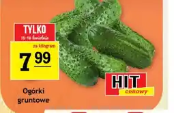 Gram Market Ogórki Hit oferta