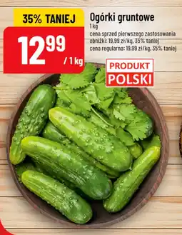Polomarket Ogórki gruntowe oferta
