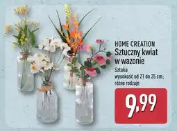 ALDI Sztuczny kwiat w wazonie oferta