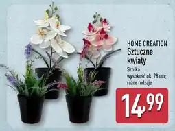 ALDI Sztuczne kwiaty oferta