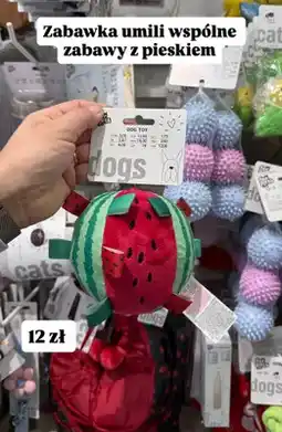 Pepco Zabawka pluszowa dla psa oferta