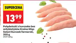 Biedronka Polędwiczki z kurczaka Kraina Mięs oferta