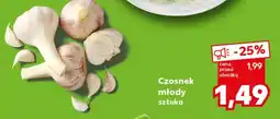 Kaufland Czosnek oferta