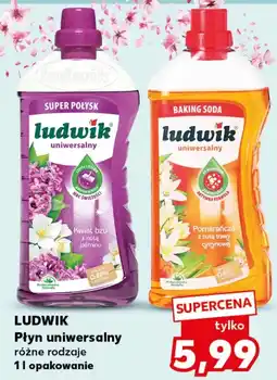 Kaufland Płyn uniwersalny Ludwik oferta