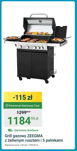 ERLI Grill Zeegma oferta