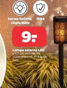 Netto Lampa solarna Barwa oferta