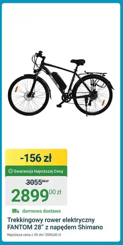 ERLI Rower elektryczny oferta