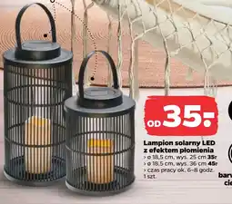 Netto Lampion Ok oferta