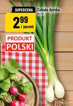 Polomarket Rzodkiewka oferta