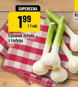 Polomarket Czosnek młody z łodygą oferta