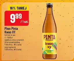 Polomarket Piwo Pinta Kwas XY oferta