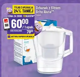 Polomarket Dzbanek z filtrem Aluna oferta