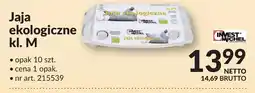 Makro Jaja ekologiczne kl. M Invest West oferta