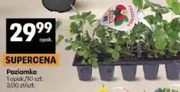 Delikatesy Centrum Poziomka opakowanie oferta