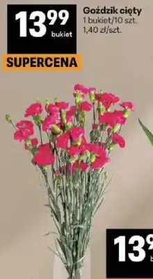 Delikatesy Centrum Goździk cięty bukiet oferta