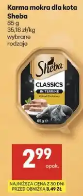 Delikatesy Centrum Karma mokra dla kota Sheba Classics oferta