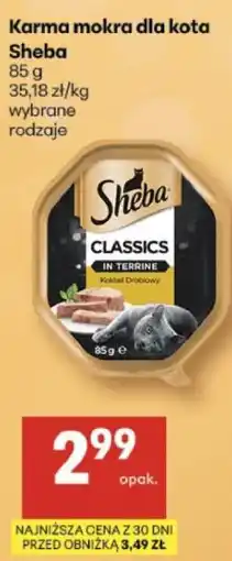 Delikatesy Centrum Karma mokra dla kota Sheba oferta