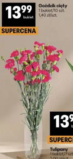 Delikatesy Centrum Goździk cięty oferta